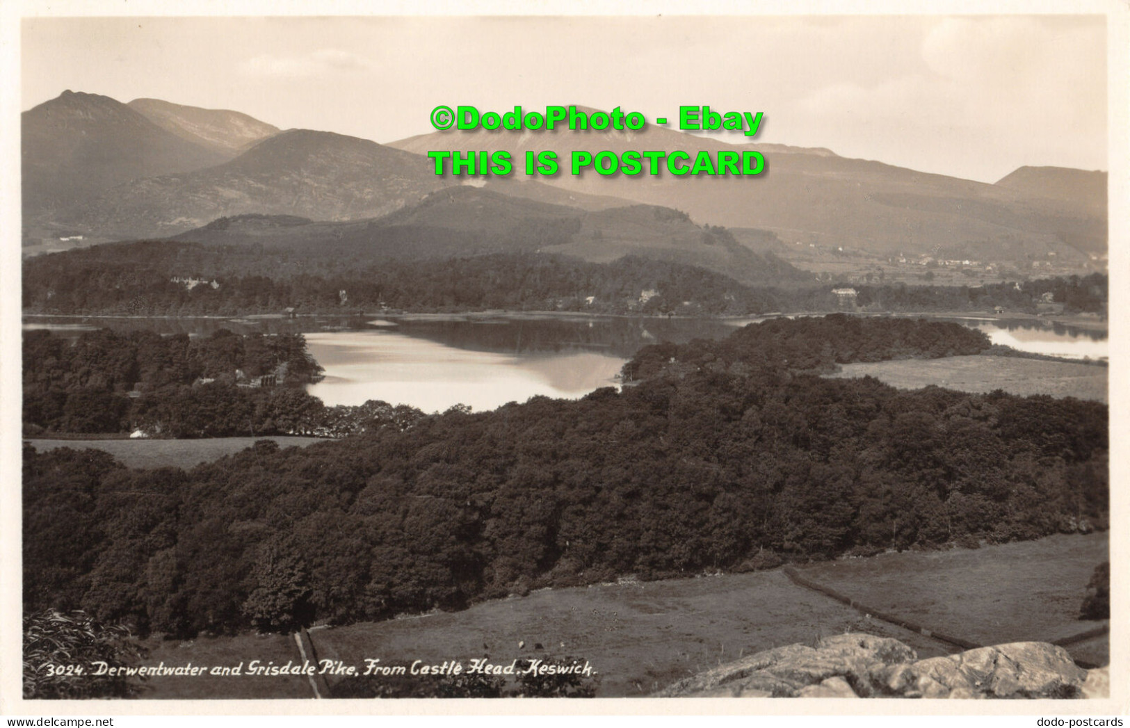 R449862 3024. Derwentwater And Grisdale Pike. From Castle Head. Keswick. Abraham - Monde