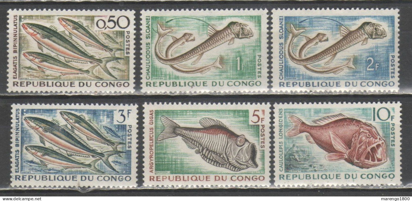 Congo 1961 - Pesci          (g9680) - Fishes