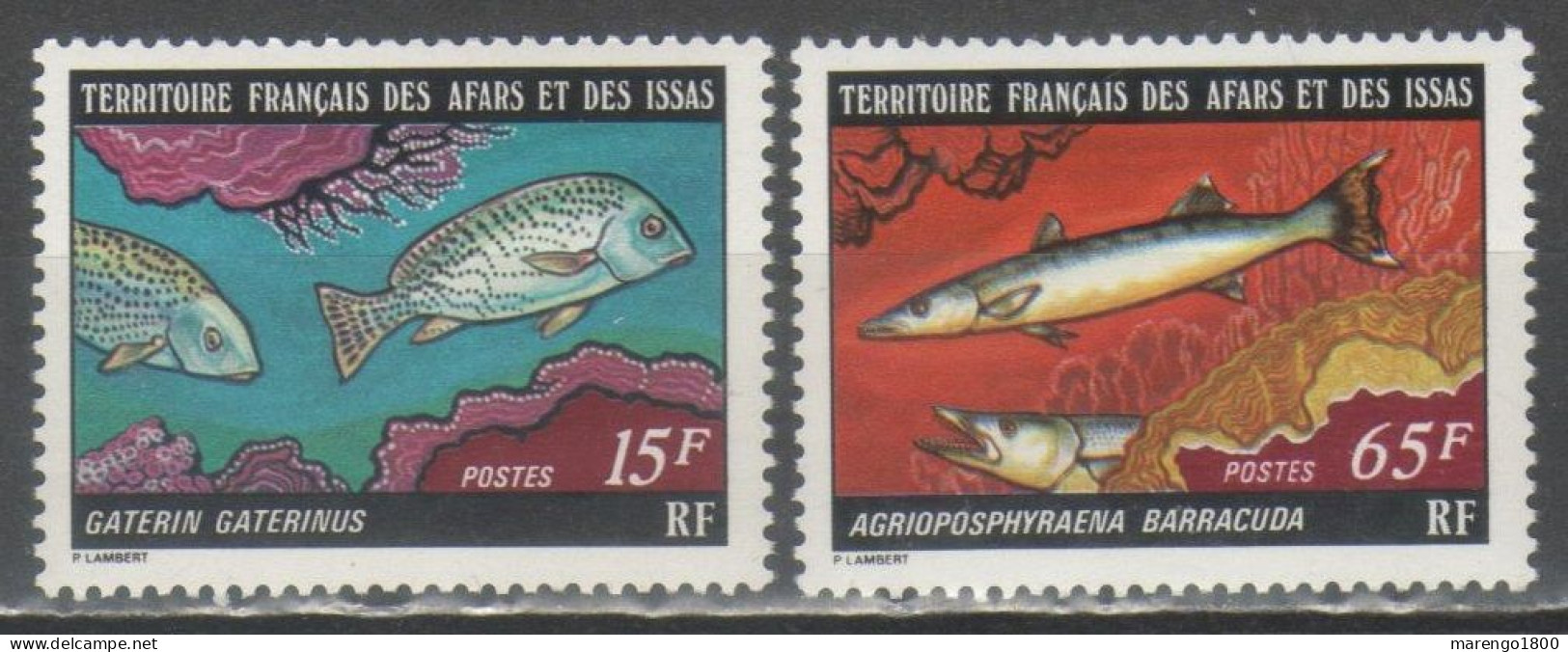 Afar E Issa 1977 - Pesci          (g9681) - Fishes