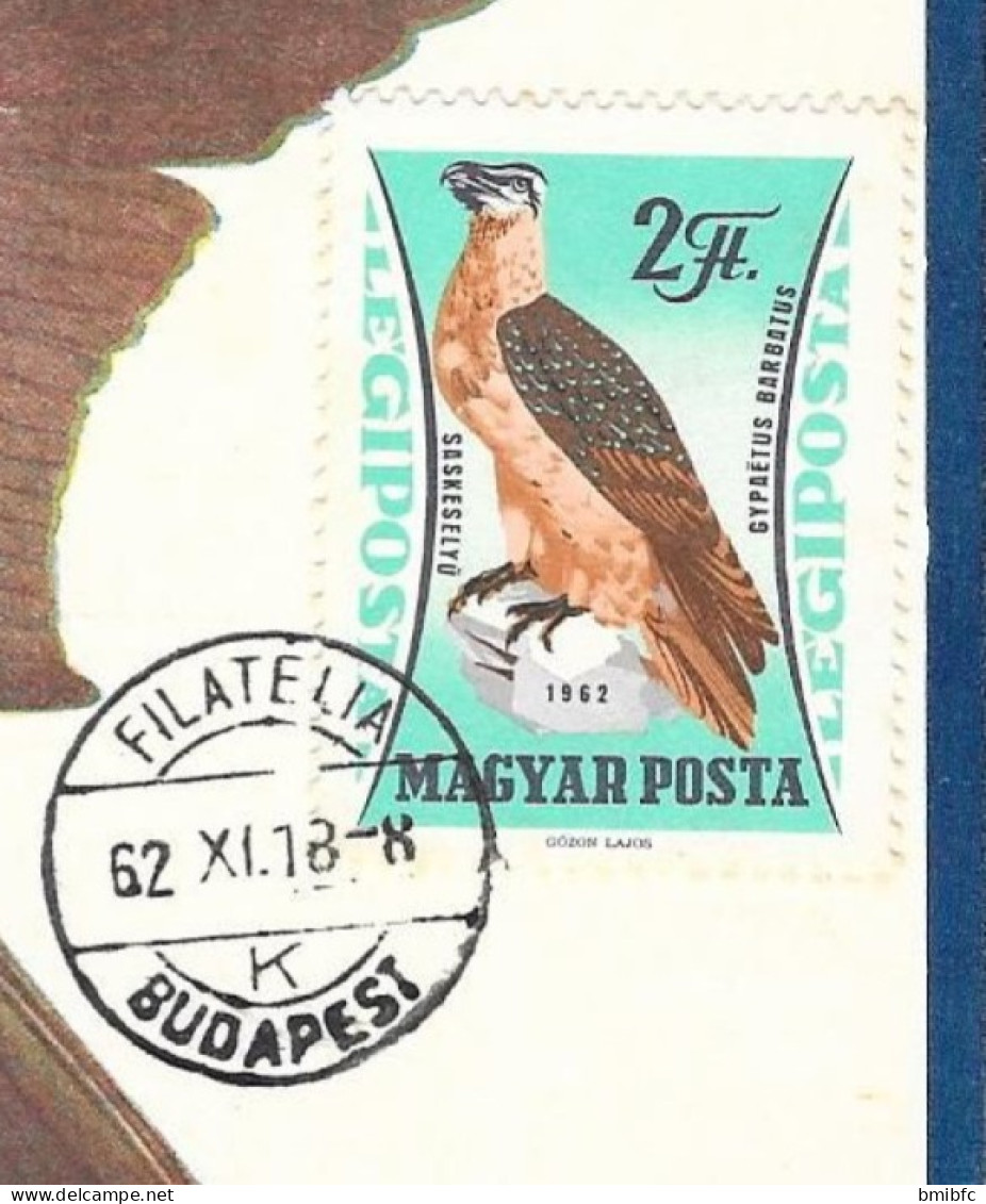 GYPAETE   (gypaetus Barbatus)  BUDAPEST Et LORETTE - Eagles & Birds Of Prey