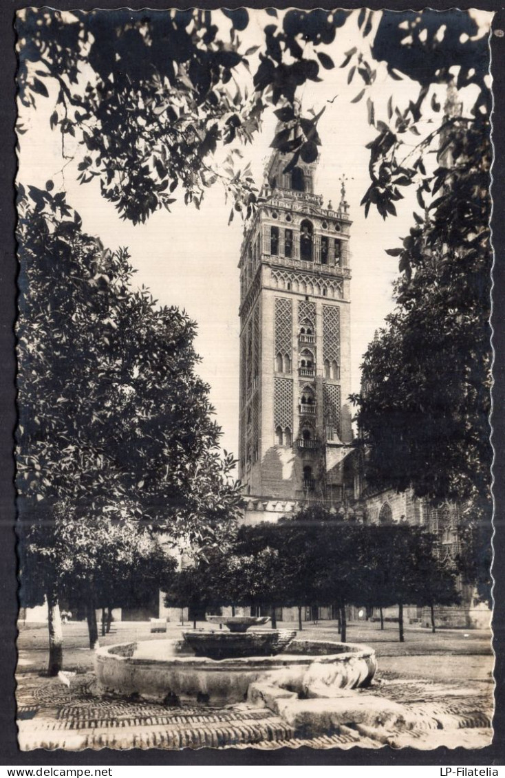 España - Sevilla - Patio De Los Naranjos - Sevilla