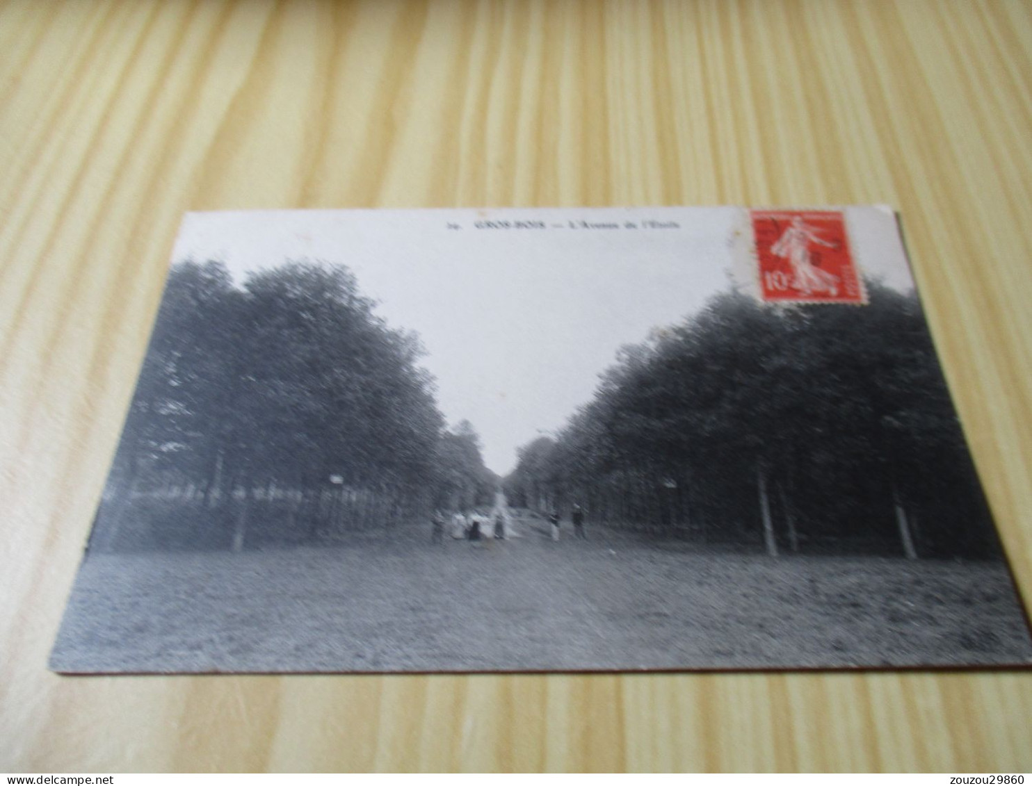 CPA Gros-Bois (94).L'Avenue De L'Etoile - Carte Animée. - Other & Unclassified