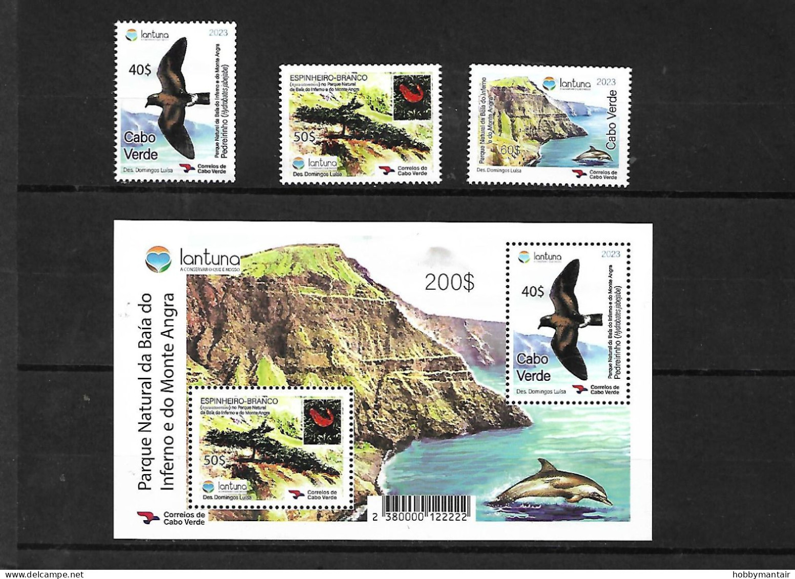 CABO VERDE, 2023, BIRDS, DOLPHINM TREE, 3v.+M/S  MNH**NEW!! - Other & Unclassified