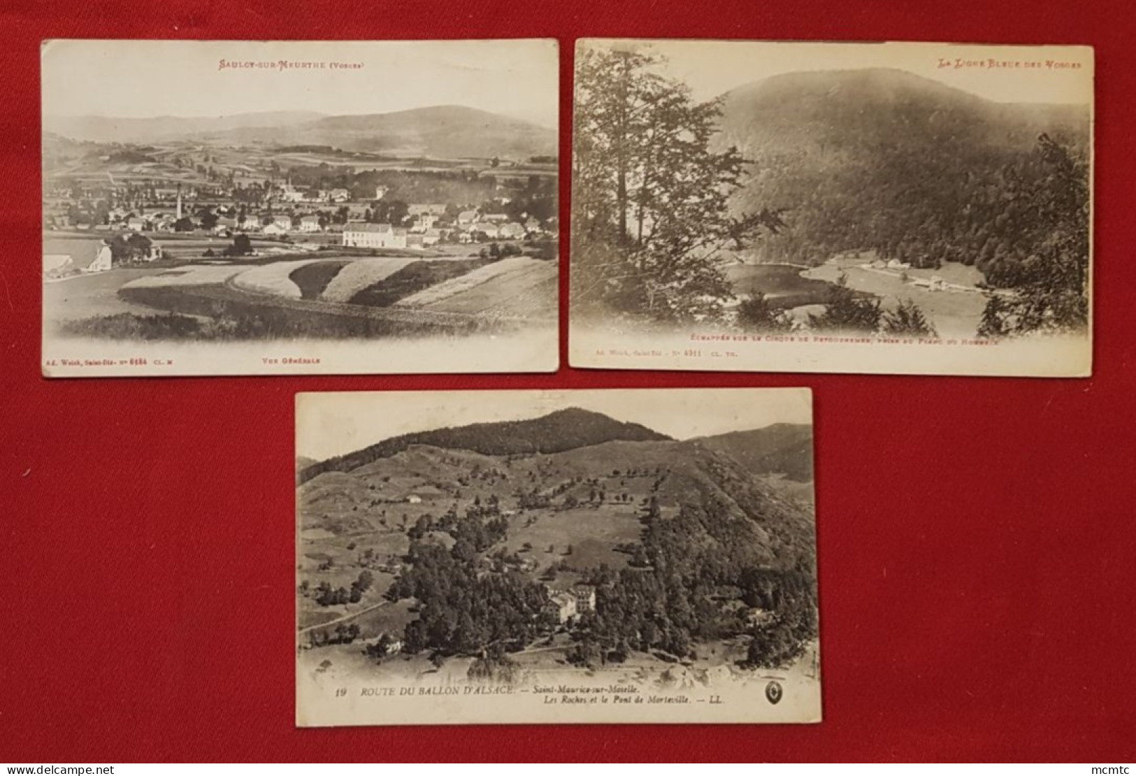 19 Cartes -  Divers  - ( 88 - Vosges  ) - Sonstige & Ohne Zuordnung