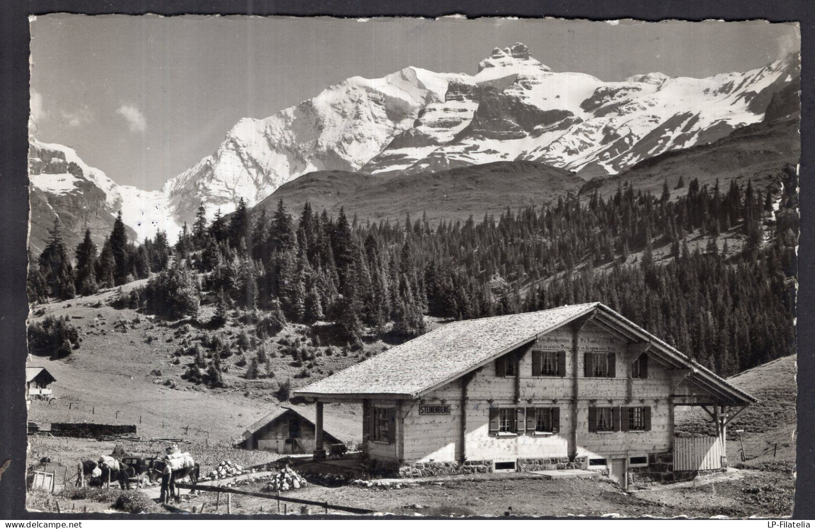 Helvetia - Berna - Kiental - Berghaus Steinenberg - Reichenbach Im Kandertal