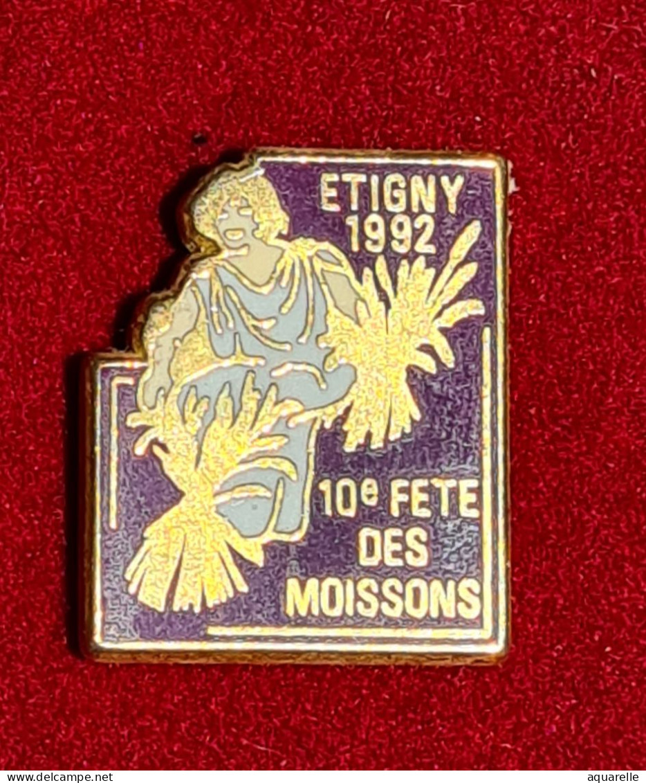 SUPER PIN'S Ville D'ETIGNY En 1992, "10em FÊTE Des MOISSONS Dans L'YONNE En ZAMAC Base Or, Format 2,3X2,3cm - Villes