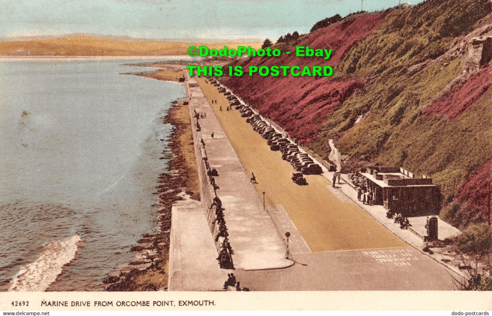 R449982 42692. Marine Drive From Orcombe Point. Exmouth. Harvey Barton - World