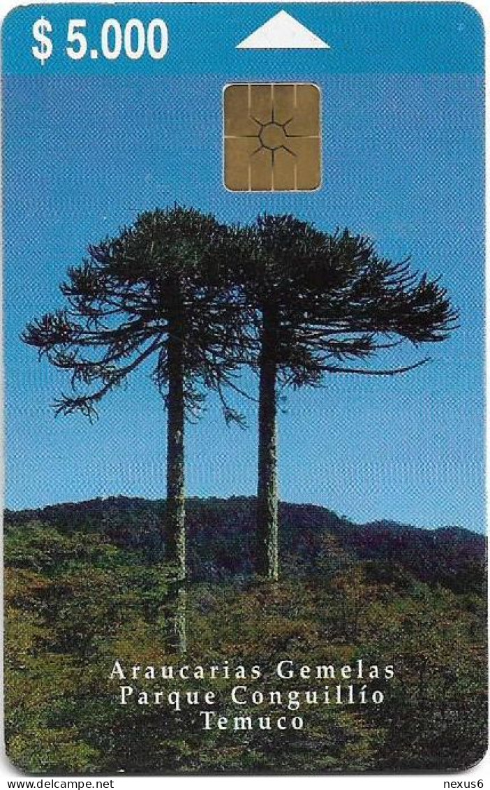 Chile - Telefónica - Araucarias Gemelas Parque (2nd Issue), Gem1B Not Symm.White/Gold, 12.1999, 5.000Cp$, 20.000ex, Used - Chili