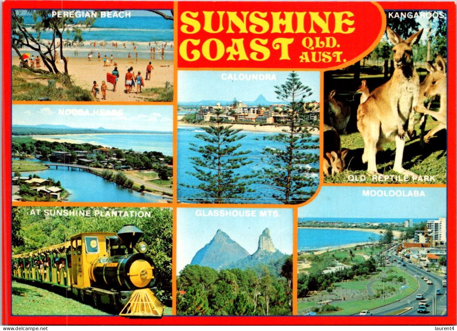 15-5-2024 (5 Z 16) Australia - QLD - Sunshine Coast - Sunshine Coast