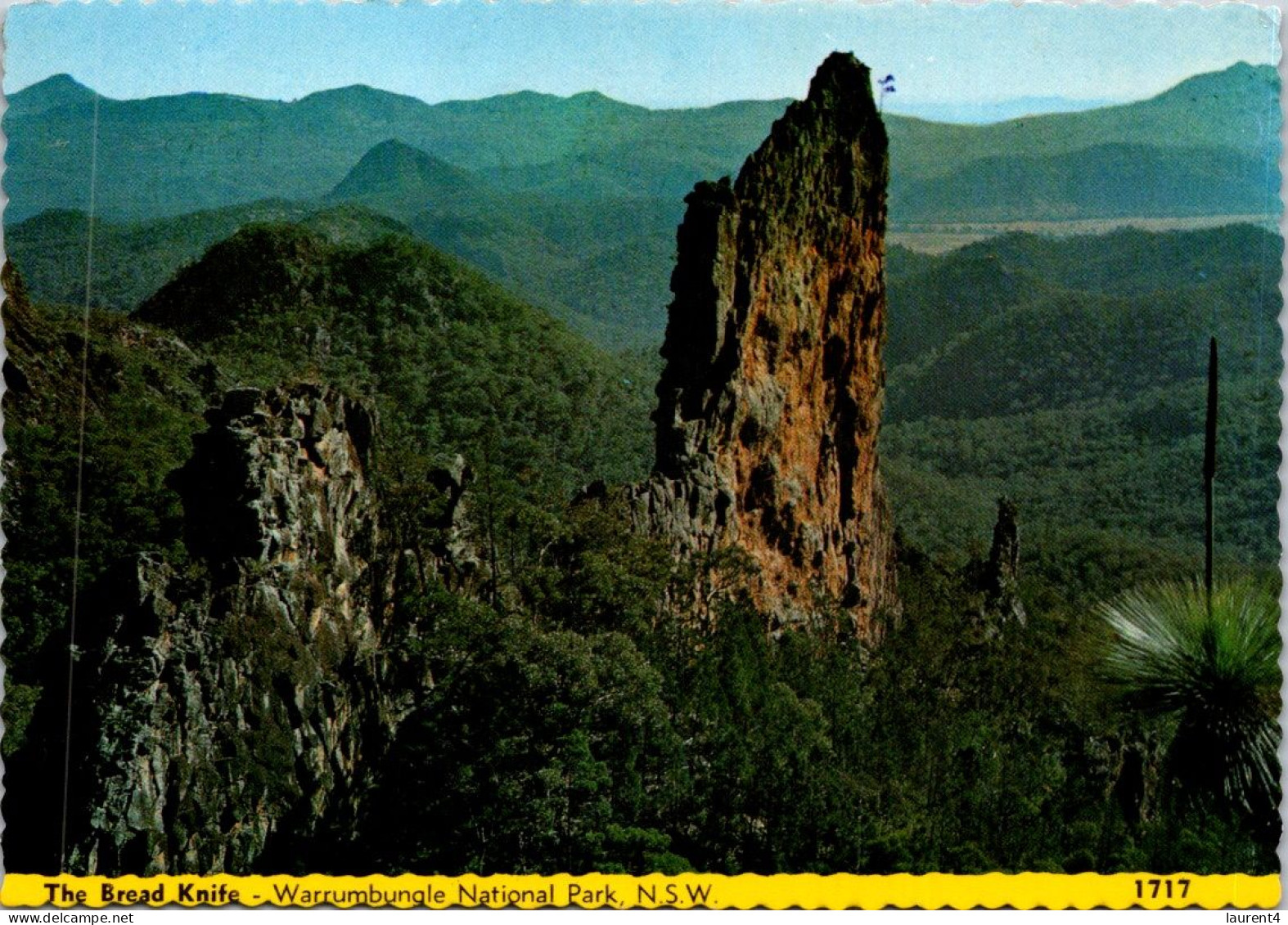 15-5-2024 (5 Z 16) Australia - NSW (2 Postcards) - Warrumbungle National Park - Sunshine Coast