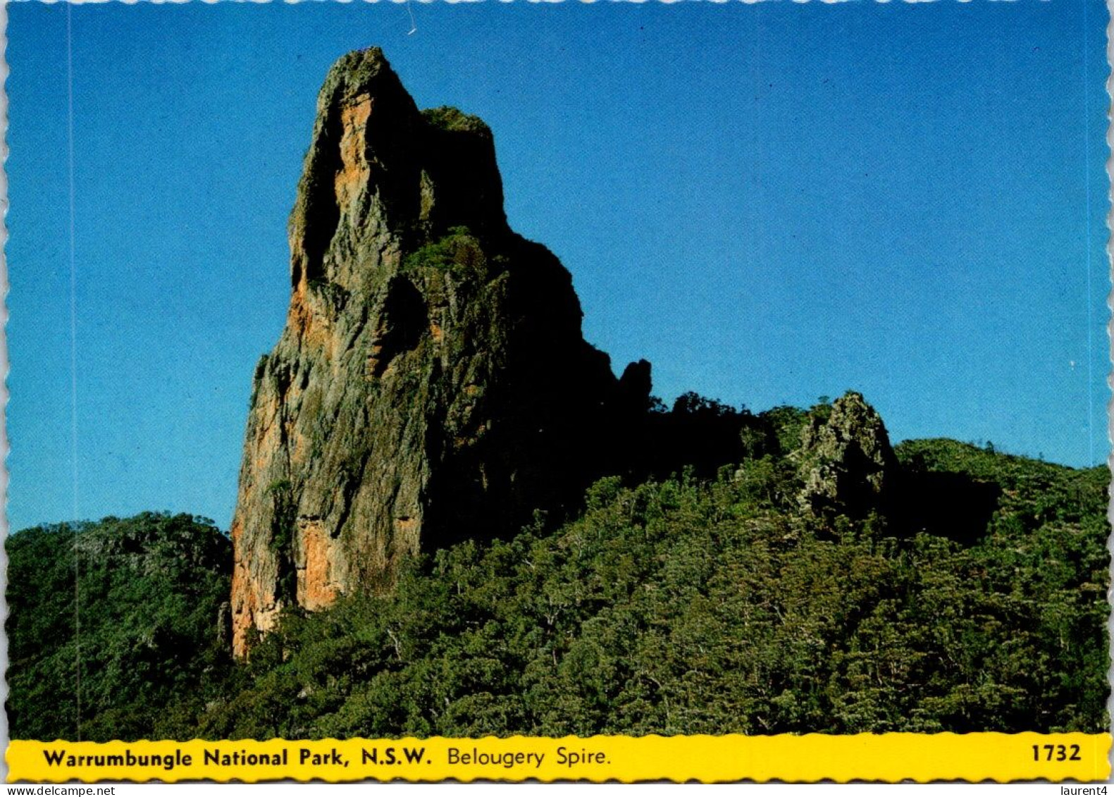 15-5-2024 (5 Z 16) Australia - NSW (2 Postcards) - Warrumbungle National Park - Sunshine Coast