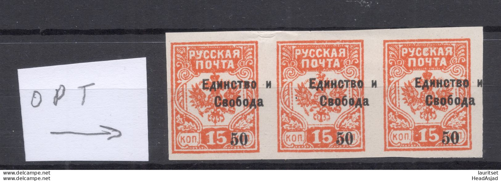 RUSSIA Russland Civil War 1919 Westarmee Western Army General Bermondt-Avalov ERROR Variety (*) OPT Shift - Armées De L'Ouest