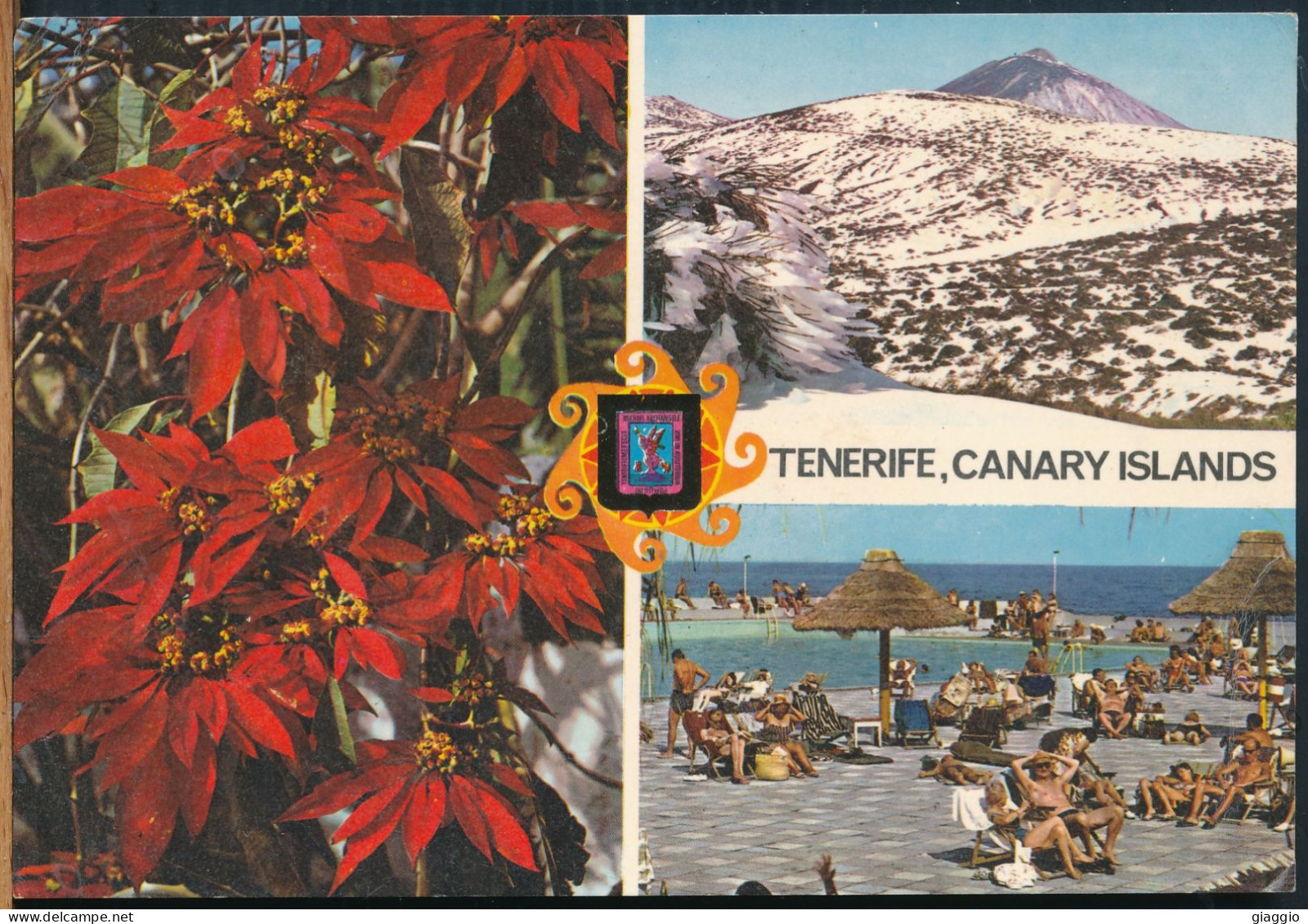 °°° 31024 - SPAIN - TENERIFE - CANARY ISLANDS °°° - Tenerife