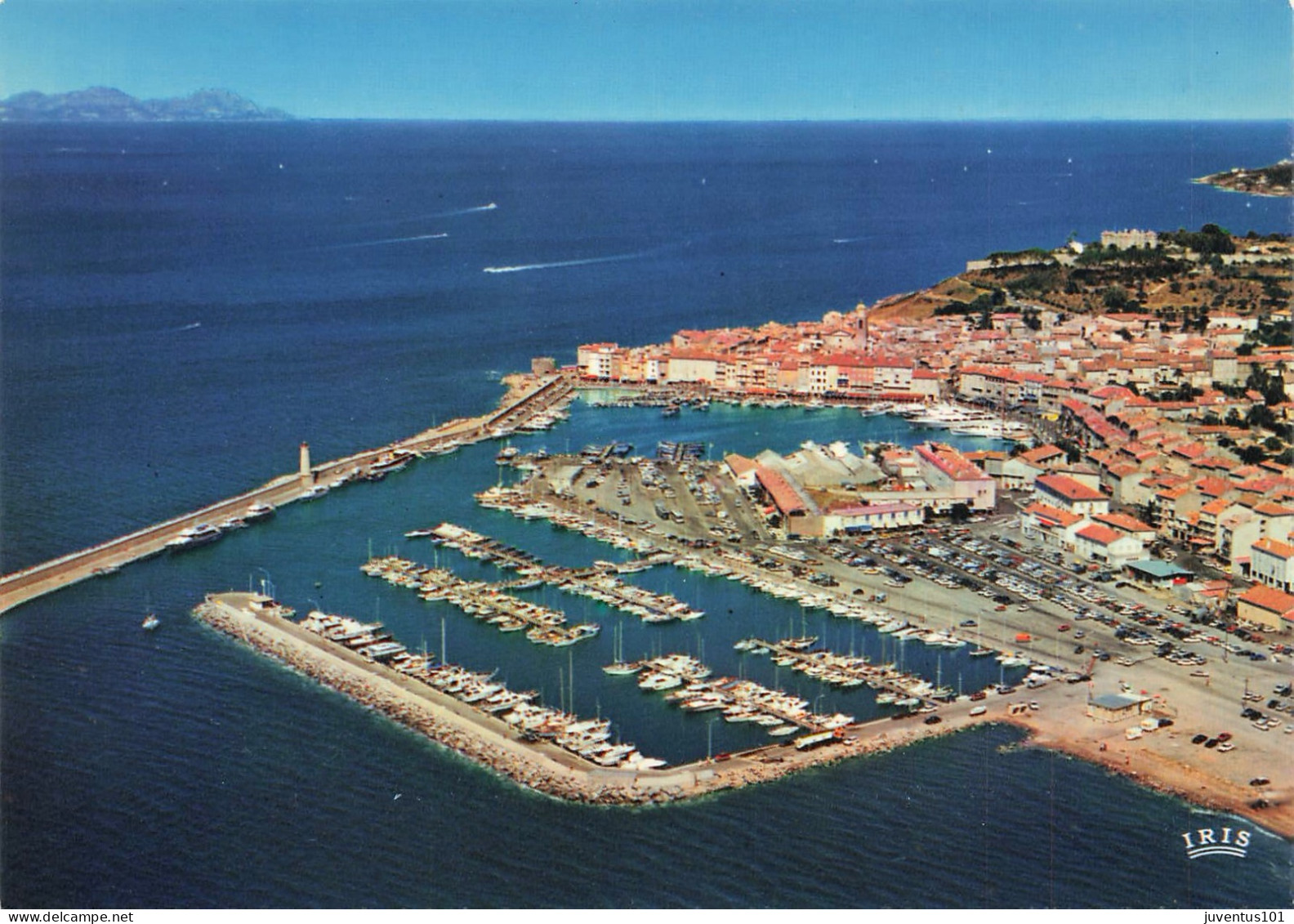 CPSM Saint Tropez-Vue Aérienne Sur Le Port   L2920 - Saint-Tropez