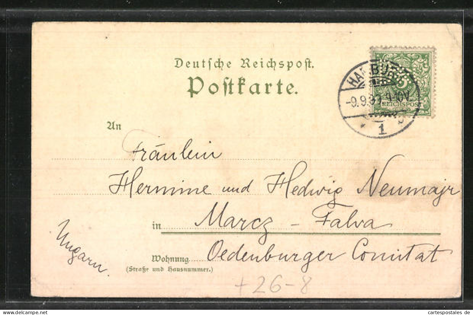 Künstler-AK Heinrich Kley: Hamburg, Hinter Dem Alten Waisenhaus  - Kley