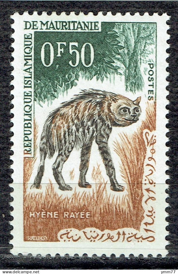 Faune : Hyène Rayée - Mauritania (1960-...)