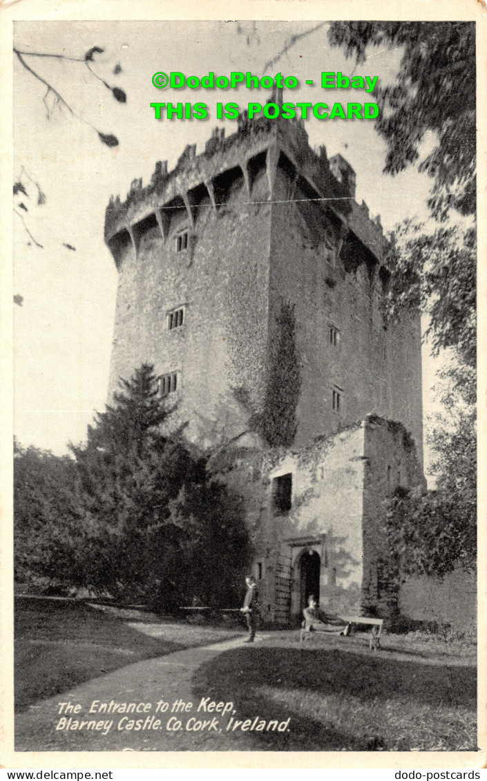 R450828 Ireland. Co. Cork. Blarney Castle. The Entrance To The Keep - Monde
