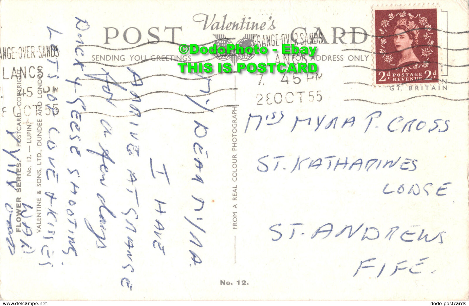 R450839 Lupin. Valentine. Flower Series. No. 12. 1955 - World