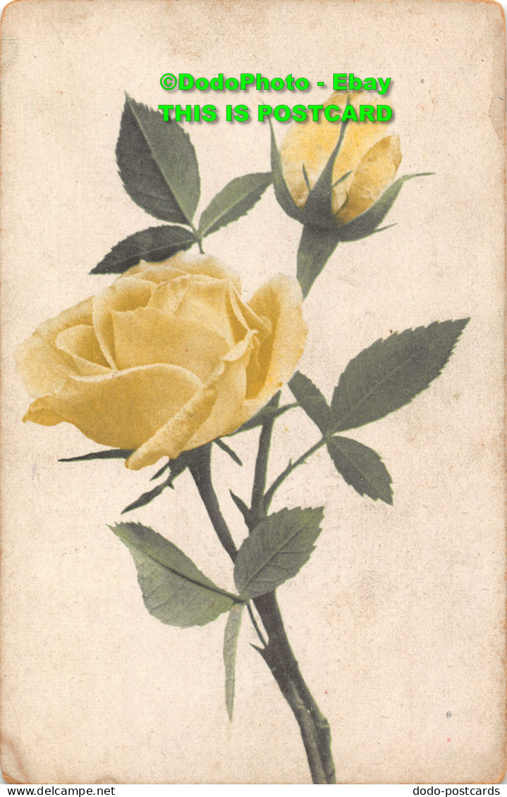 R450844 A Happy Birthday. Yellow Rose. No. 3358 - Wereld