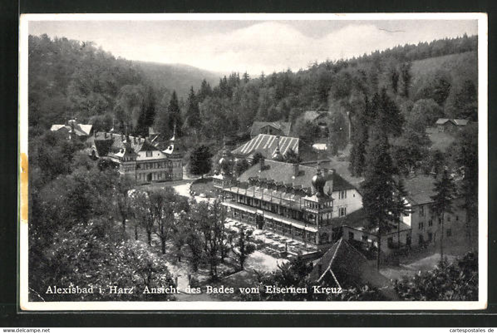 AK Alexisbad Im Harz, Ansicht Des Bades Vom Eisernen Kreuz  - Autres & Non Classés