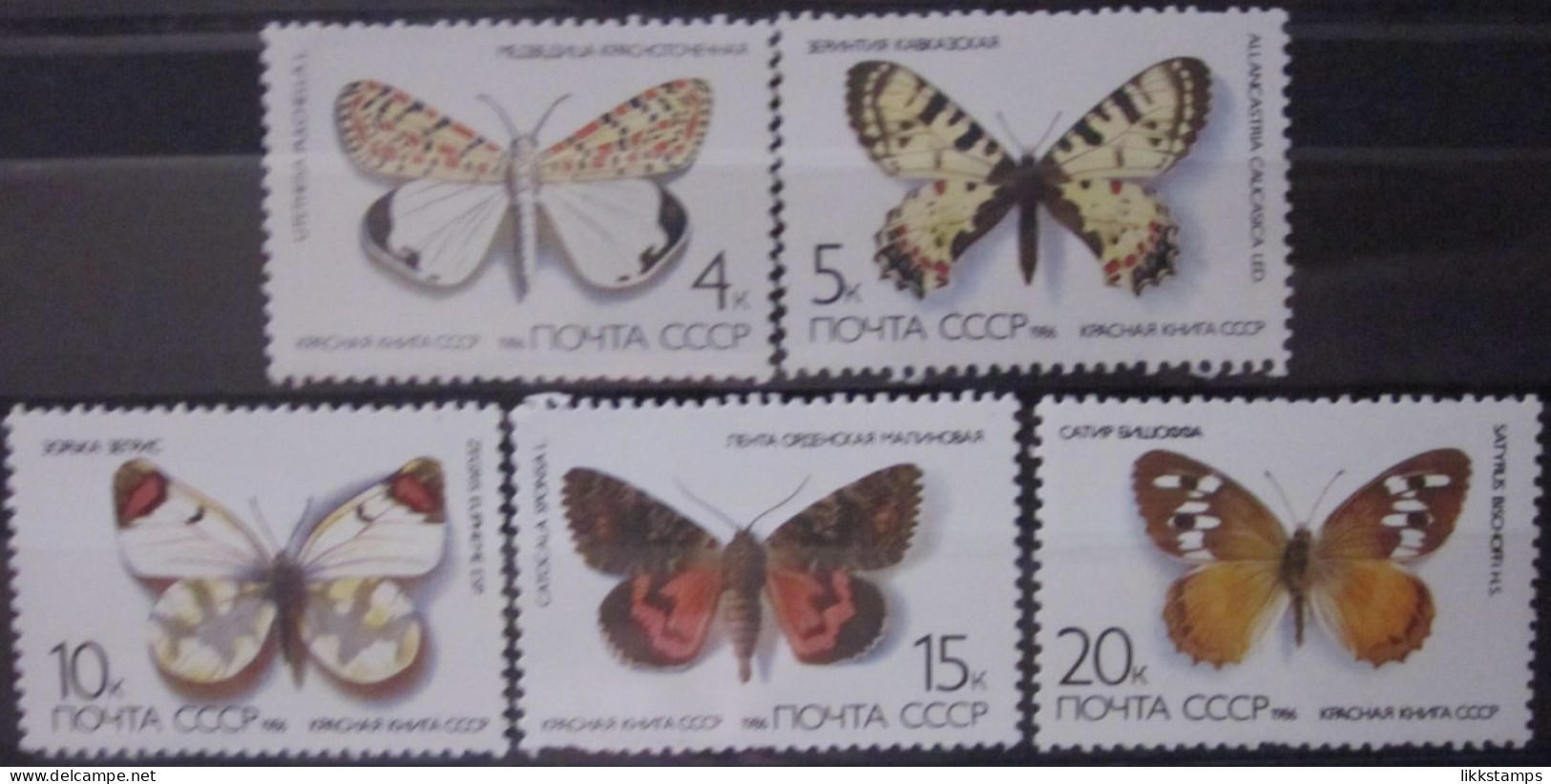 RUSSIA ~ 1986 ~ S.G. NUMBERS 5632 - 5636, ~ BUTTERFLIES AND MOTHS. ~ MNH #03640 - Nuovi