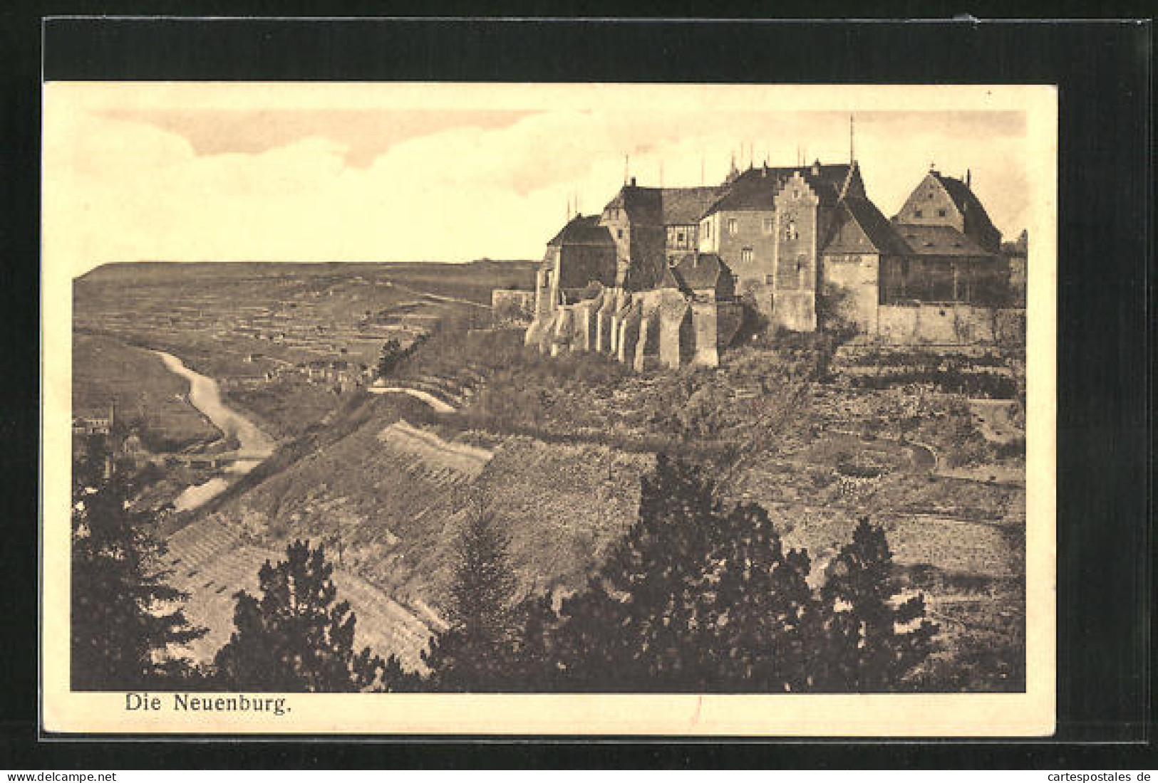 AK Freyburg, Blick Auf Die Neuenburg  - Freyburg A. D. Unstrut