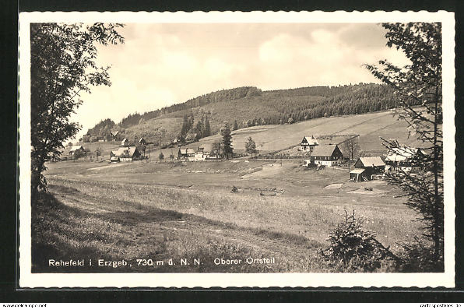 AK Rehefeld I. Erzgeb., Blick Vom Waldrand Auf Den Oberen Ortsteil  - Rehefeld