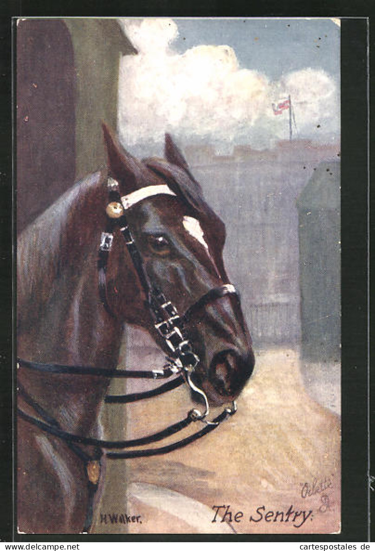 Künstler-AK Portrait Eines Rappen An Der Pferdebox  - Pferde