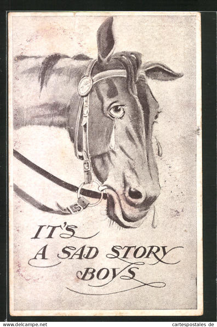 AK It's A Sad Story Boys, Weinendes Pferd  - Horses