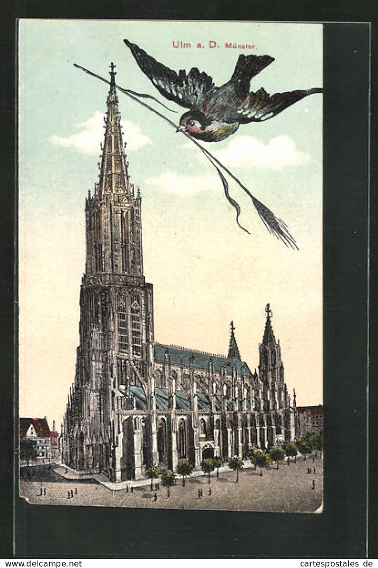 AK Ulm A. D., Münsterkirche  - Ulm