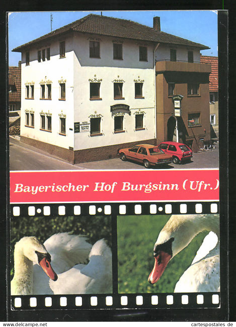 AK Burgsinn /Spessart, Hotel Bayerischer Hof Mit Autos, Schwäne  - Altri & Non Classificati