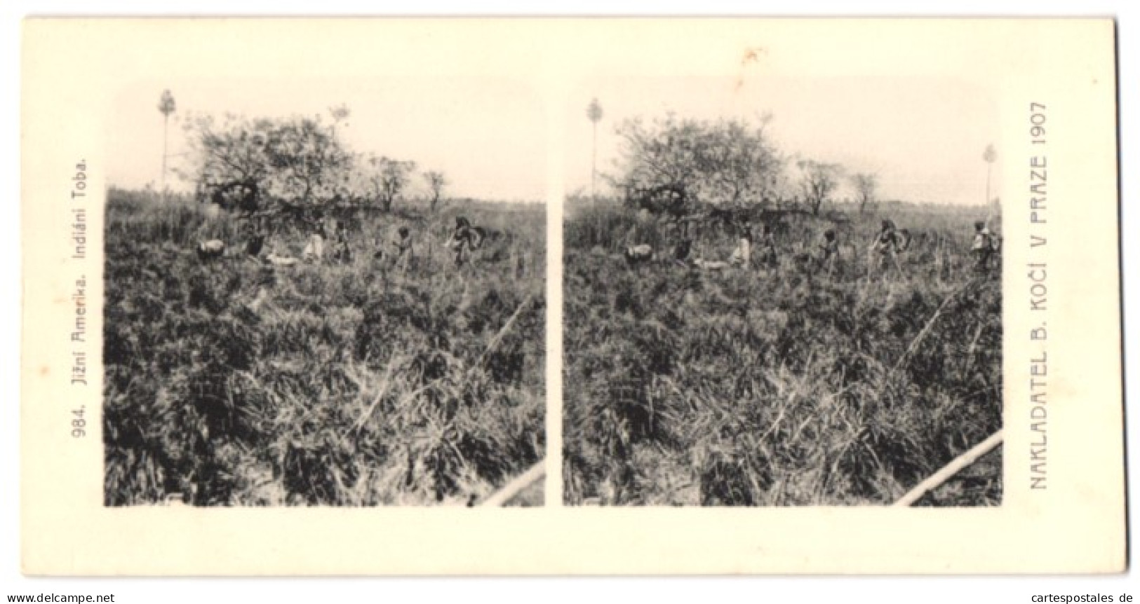 Stereo-Fotografie Lichtdruck Bedrich Koci, Prag, Südamerika Expedition 1907, Jizni Amerika, Indiani Toba  - Stereoscoop