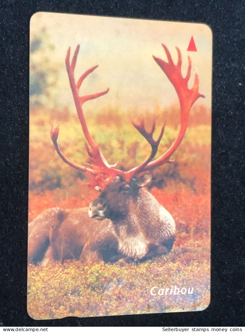 Card Phonekad Vietnam(caribou Con Nay 300 000dong-1999)-1pcs - Viêt-Nam