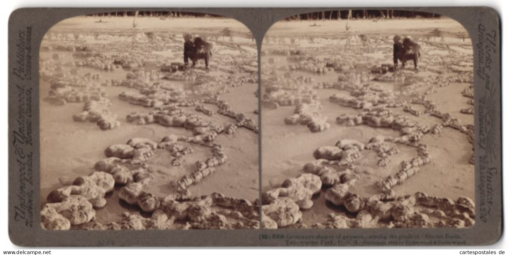 Stereo-Fotografie Underwood & Underwood, New York, Ansicht Yellowstone Park, Geysir Biscuit Basin  - Stereoscopic