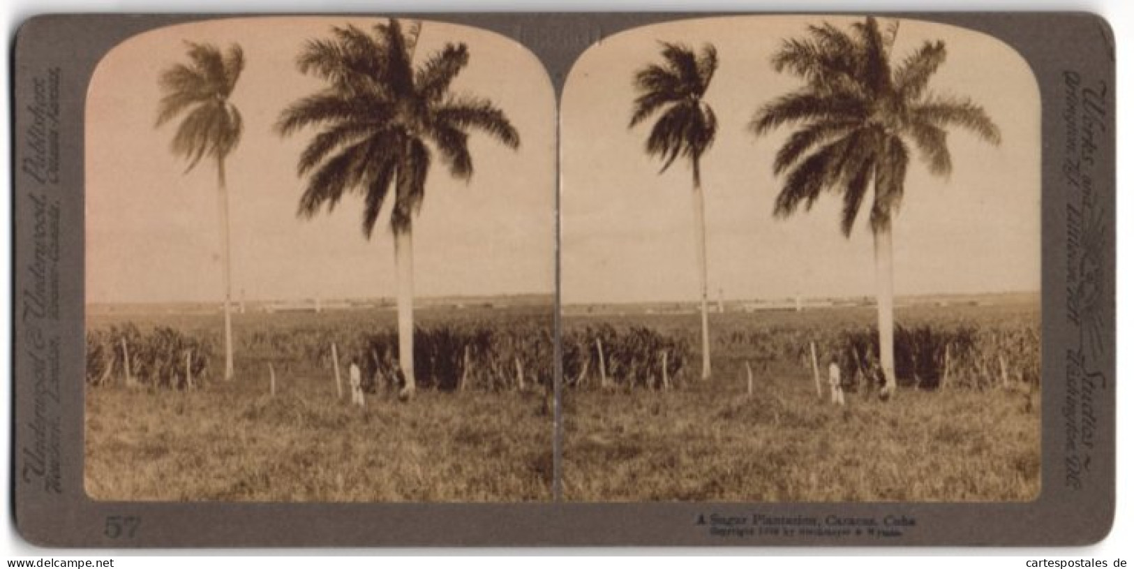 Stereo-Fotografie Underwood & Underwood, New York, Ansicht Caracas / Kuba, Zuckerrohr-Plantage Mit Fabrik Im Hintergru  - Stereoscopic