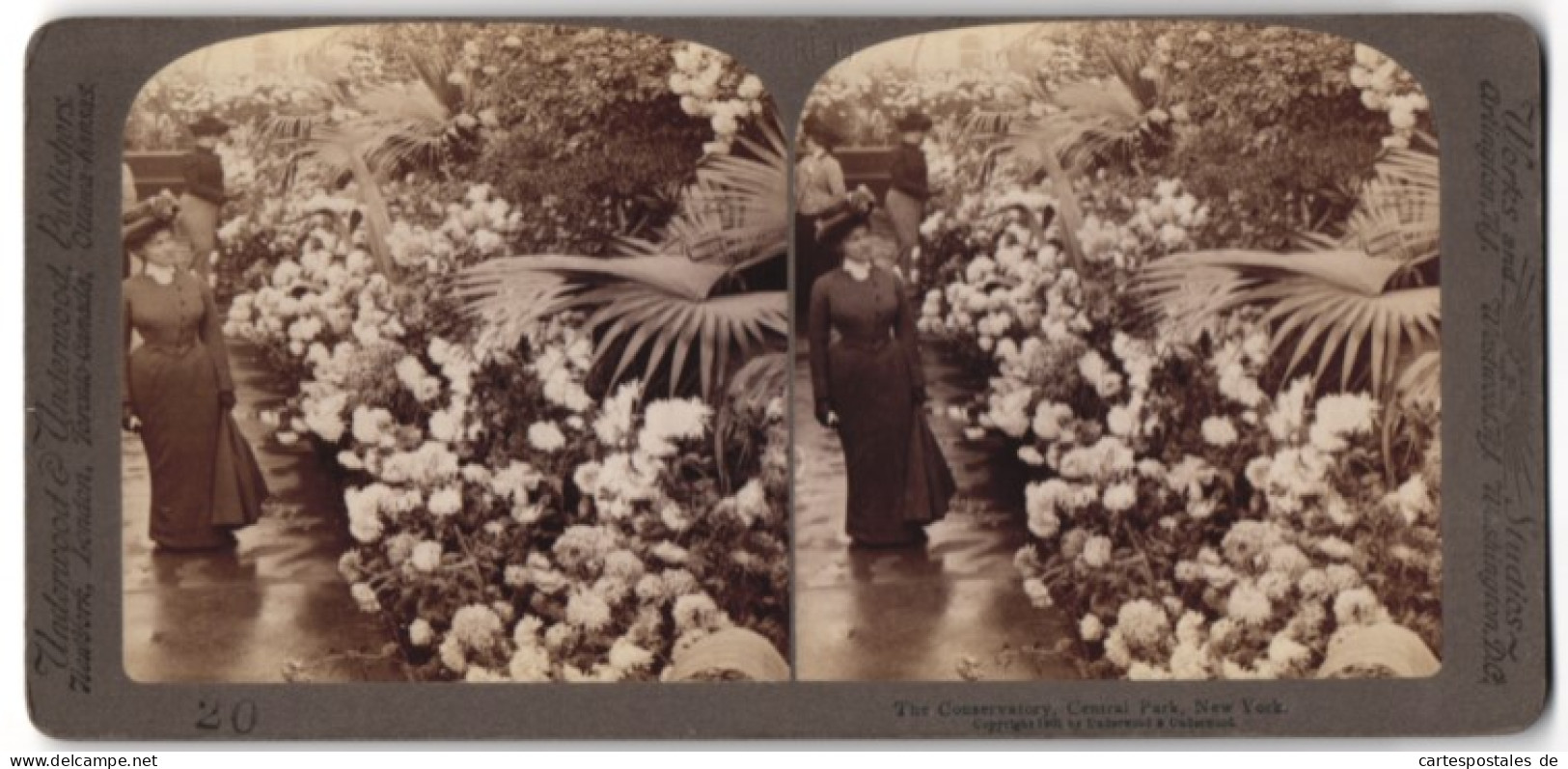 Stereo-Fotografie Underwood & Underwood, New York, Ansicht New York City, Blumen Im Gewächshaus Central Park  - Stereo-Photographie