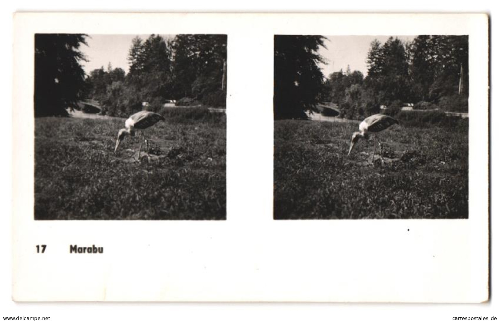 20 Stereo-Fotografien mit Stereobetrachter Omnia-Verlag Tiere Serie Aus dem Zoo 