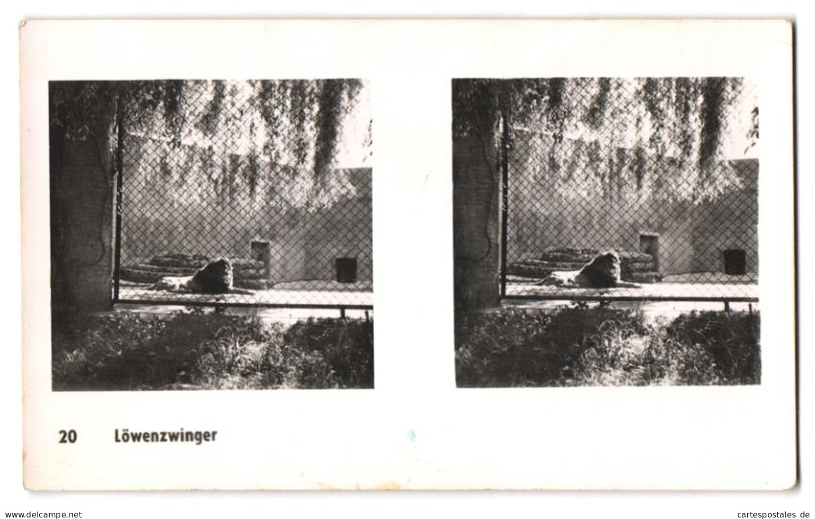 20 Stereo-Fotografien mit Stereobetrachter Omnia-Verlag Tiere Serie Aus dem Zoo 