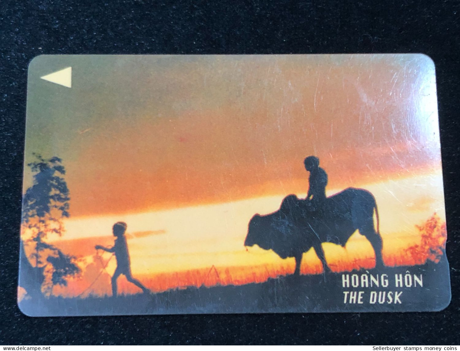 Card Phonekad Vietnam(the Dusk Hoang Hon 30 000dong-1995)-1pcs - Vietnam