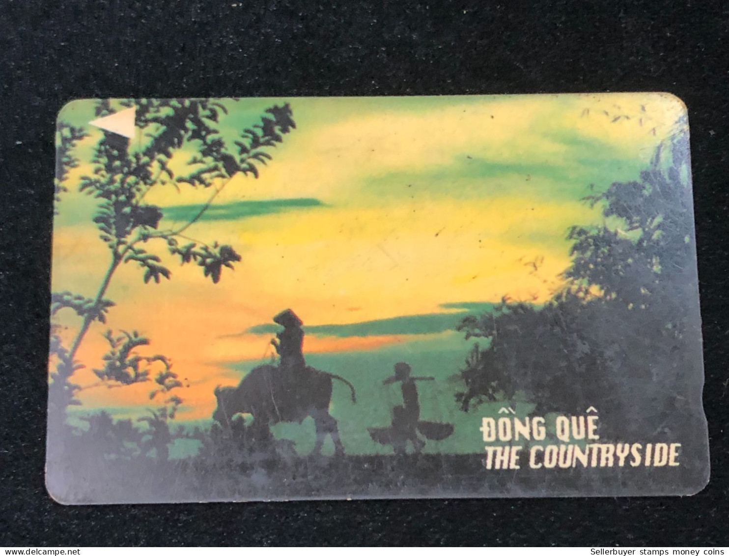 Card Phonekad Vietnam(the Countryside 30 000dong-1995)-1pcs - Vietnam