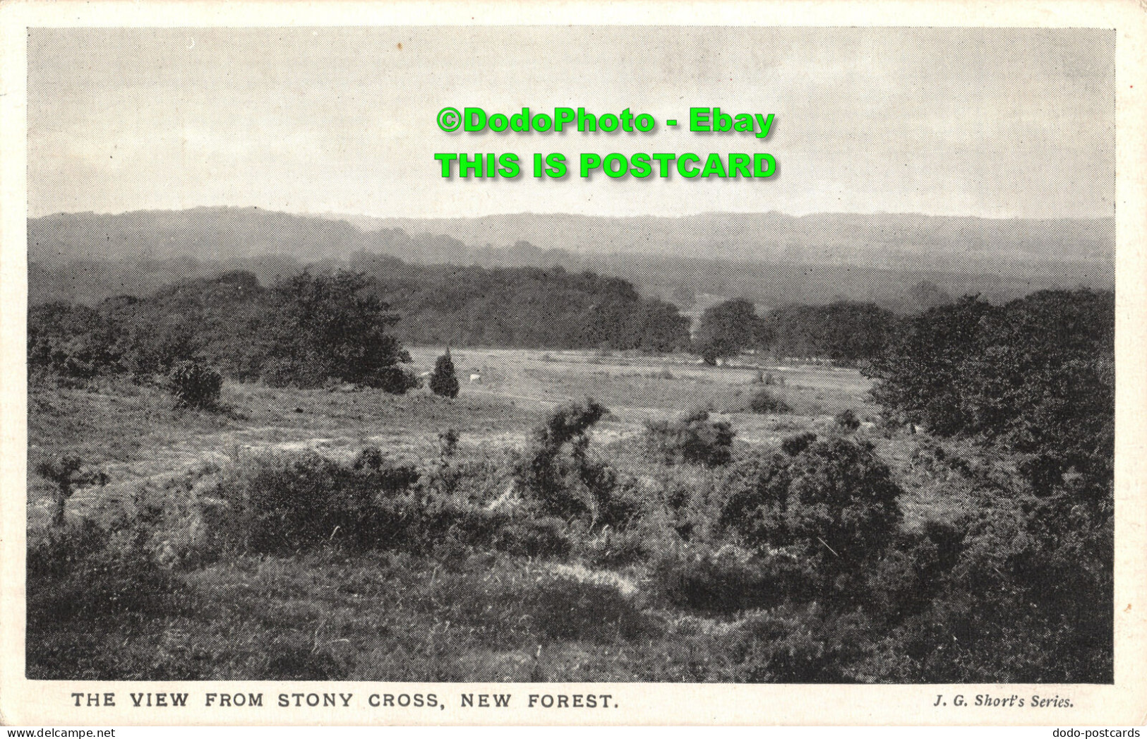 R451087 New Forest. The View From Stony Cross. J. G. Short Series - World