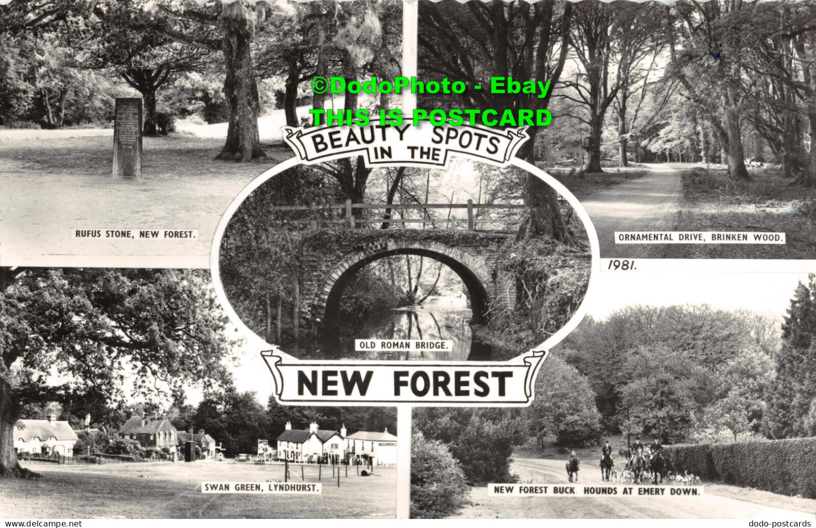 R451234 Beauty Spots In The New Forest. Old Roman Bridge. Ornamental Drive. Brin - World