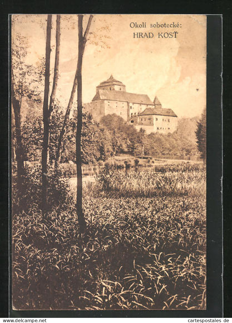 AK Kost, Hrad, Burg Mit Teich  - Tschechische Republik