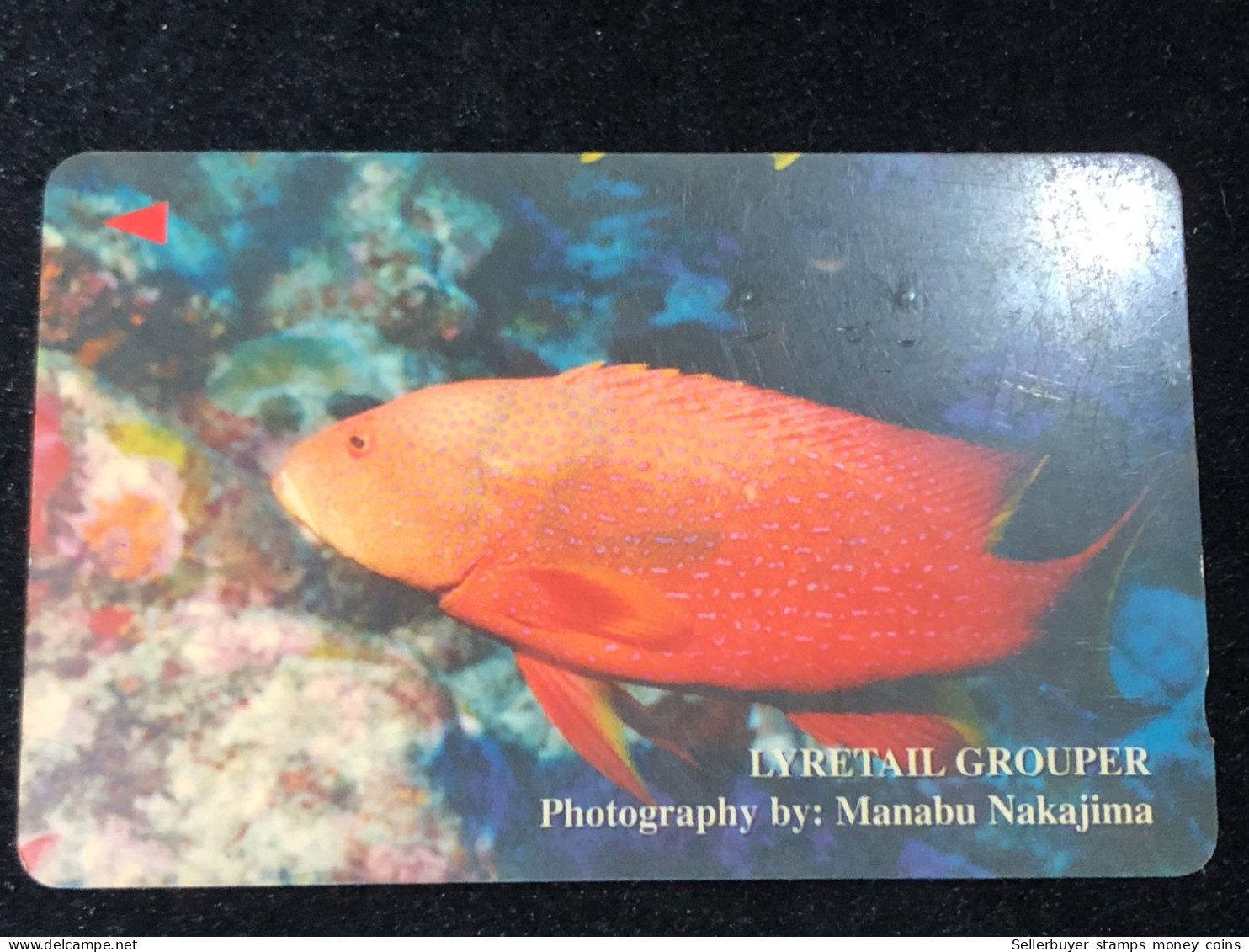 Card Phonekad Vietnam(lyretail Grouper 300 000dong-1998)-1pcs - Viêt-Nam