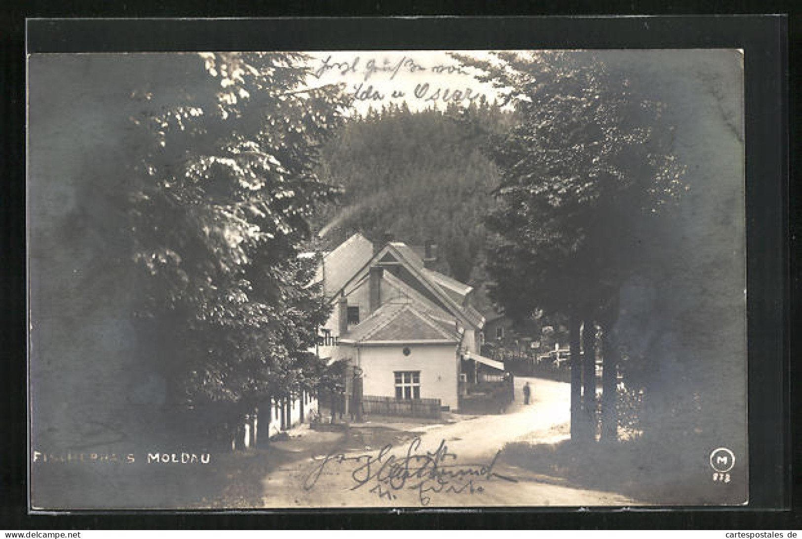 AK Moldau, Ortspartie Mit Fischerhaus  - Czech Republic