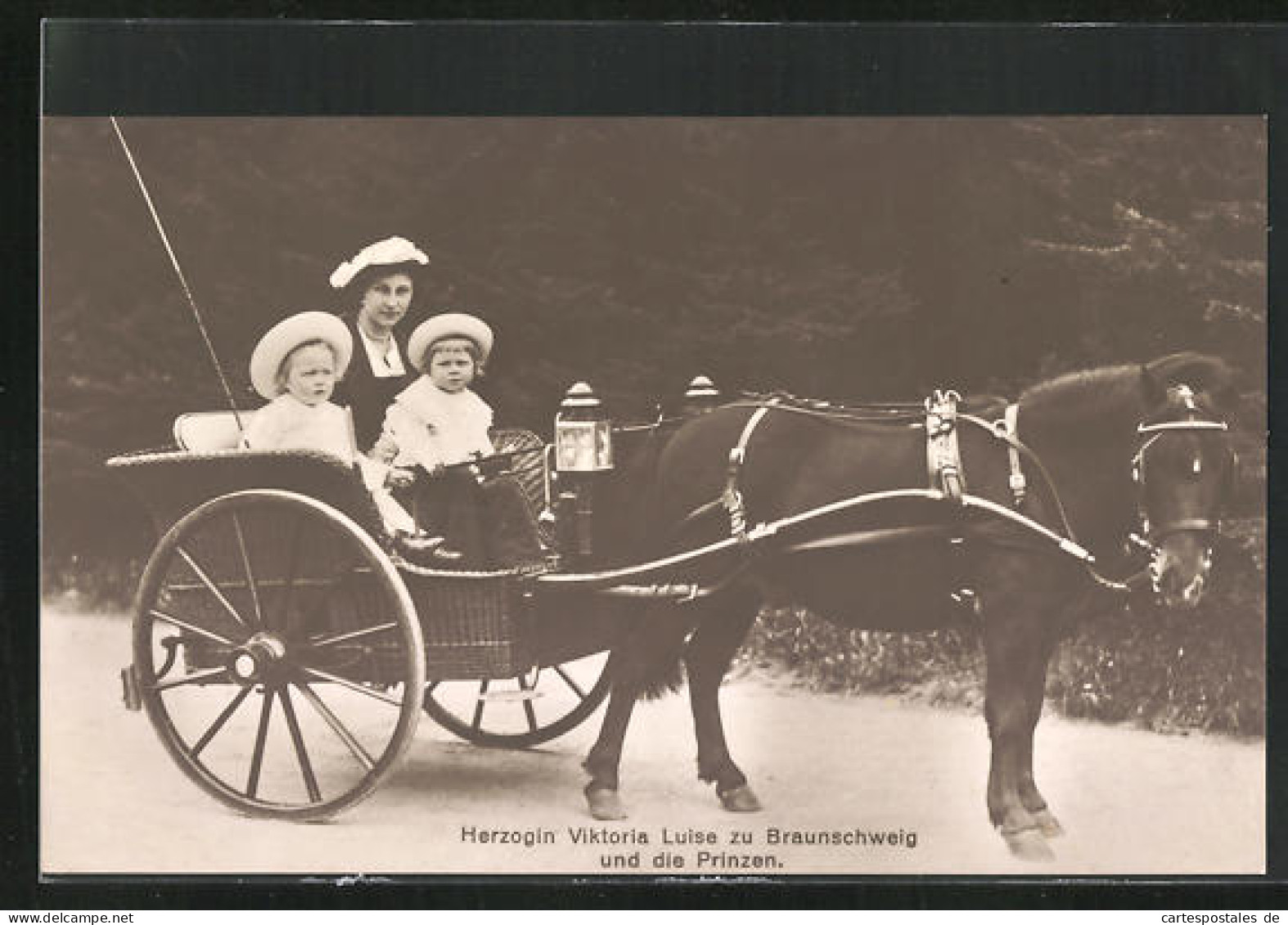 AK Victoria Louise Herzogin Von Braunschweig Und Die Prinzen  - Royal Families