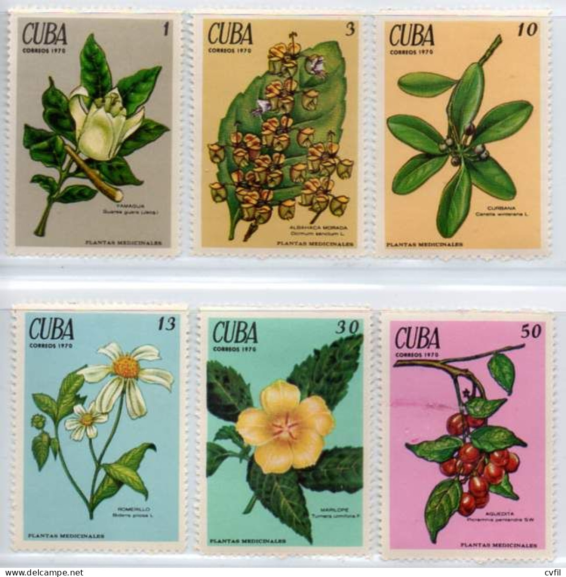 CUBA 1970 - Medicinal Plants (6), MNH - Neufs