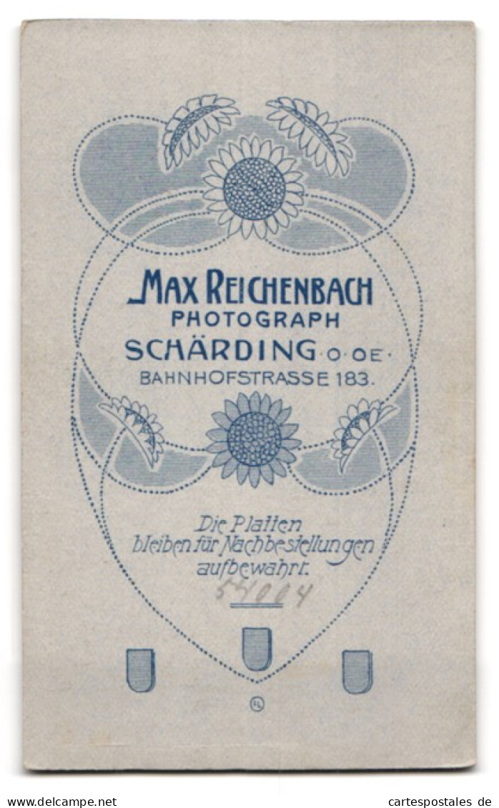 Fotografie Max Reichenbach, Schärding, Bahnhofstrasse 183, Zierliche Dame Mit Rüschenbluse  - Anonyme Personen