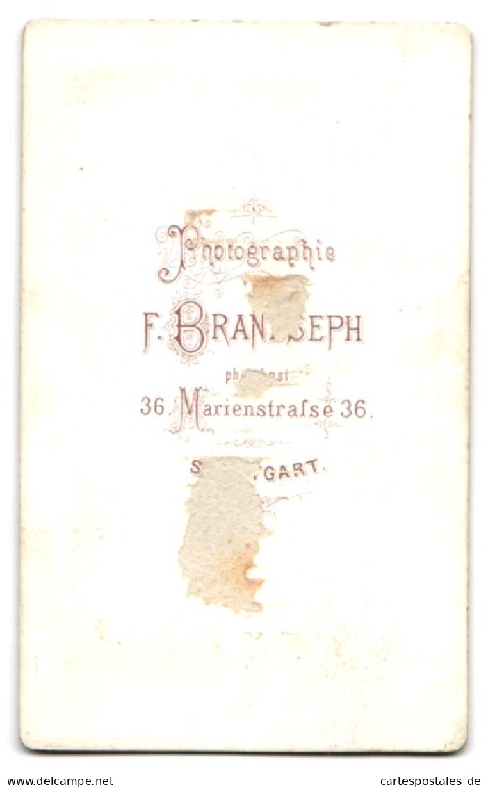 Fotografie F. Brandseph, Stuttgart, Marienstr. 36, Junges Paar Im Biedermeierkleid Und Anzug Mit Vollbart  - Anonymous Persons