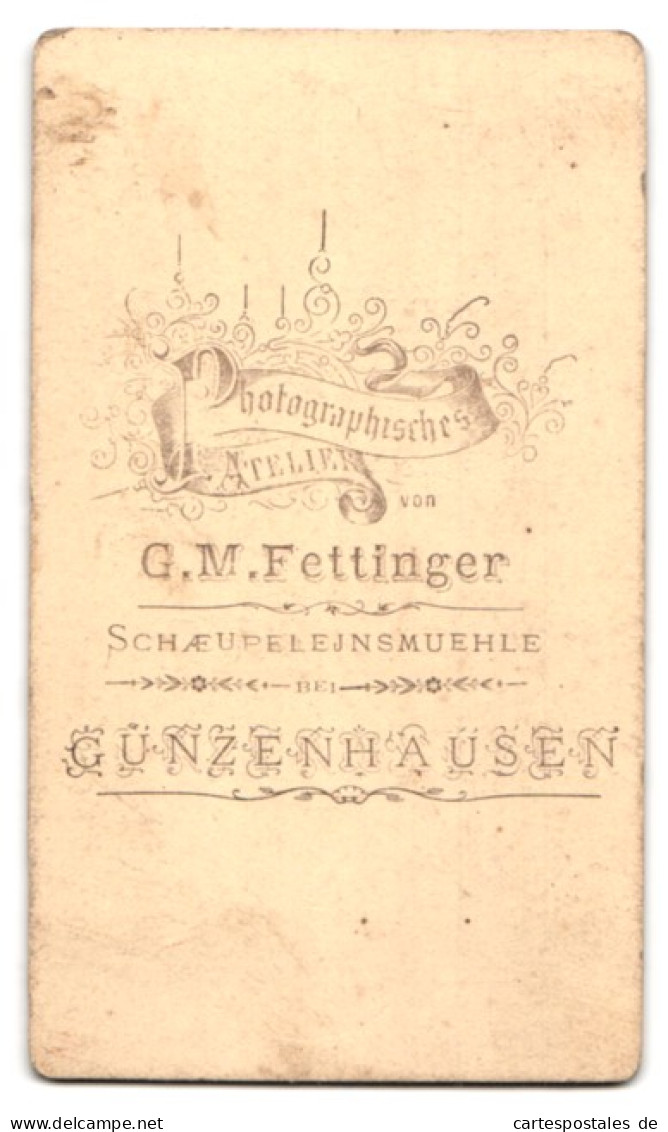 Fotografie G. M. Fettinger, Gunzenhausen, Portrait Mutter Mit Vier Kindern In Biedermeierkleidern, Mutterglück  - Personnes Anonymes